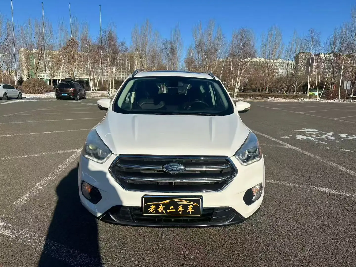 Ford Wing tiger  из Китая