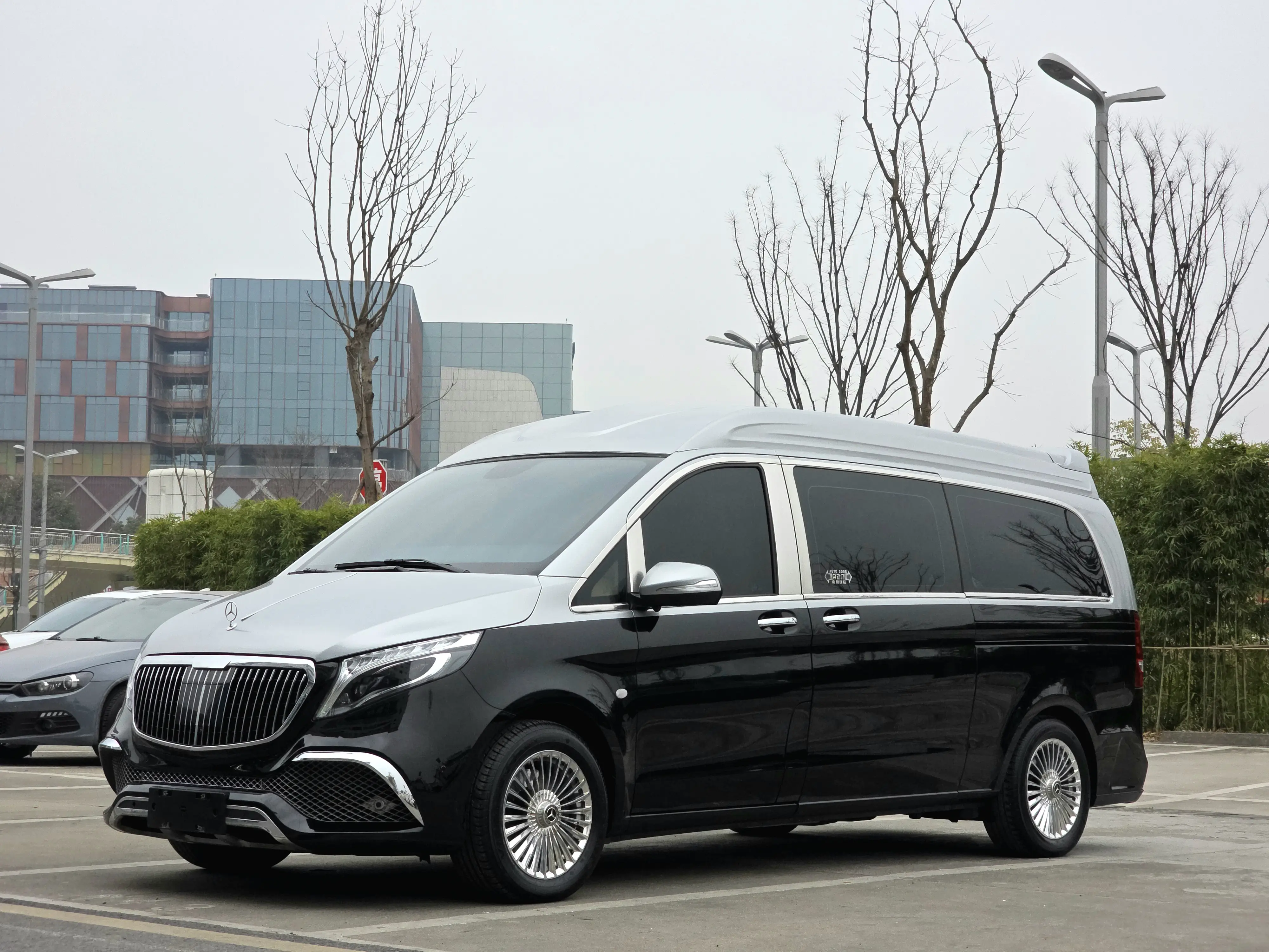 Mercedes-Benz Vito  из Китая