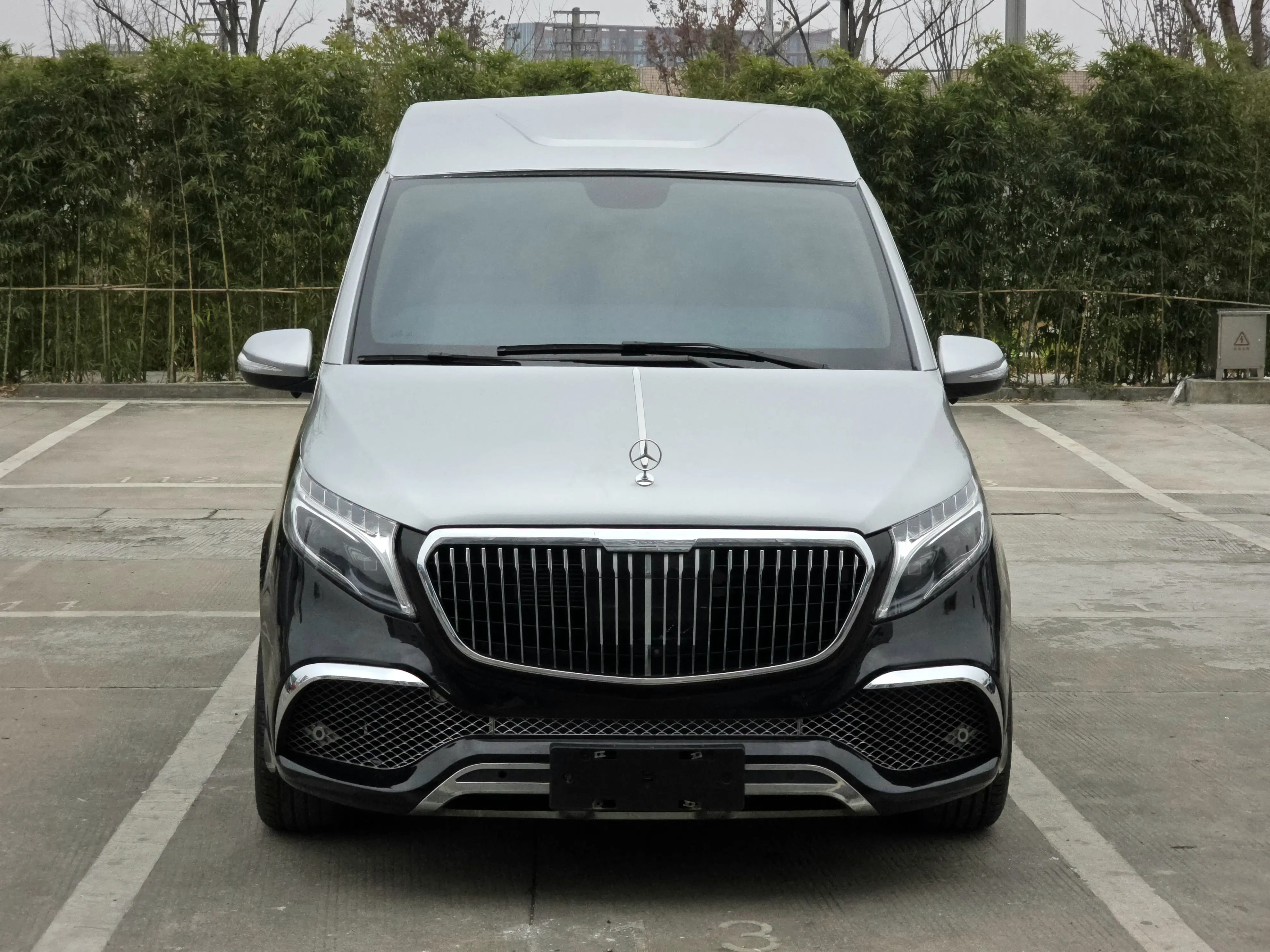 Mercedes-Benz Vito  из Китая