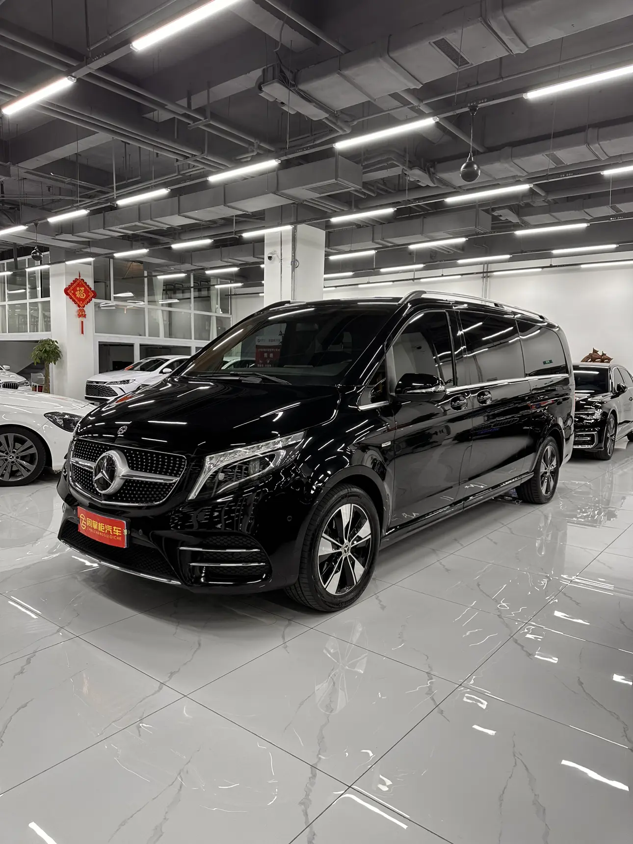 Mercedes-Benz Mercedes Benz V Class  из Китая
