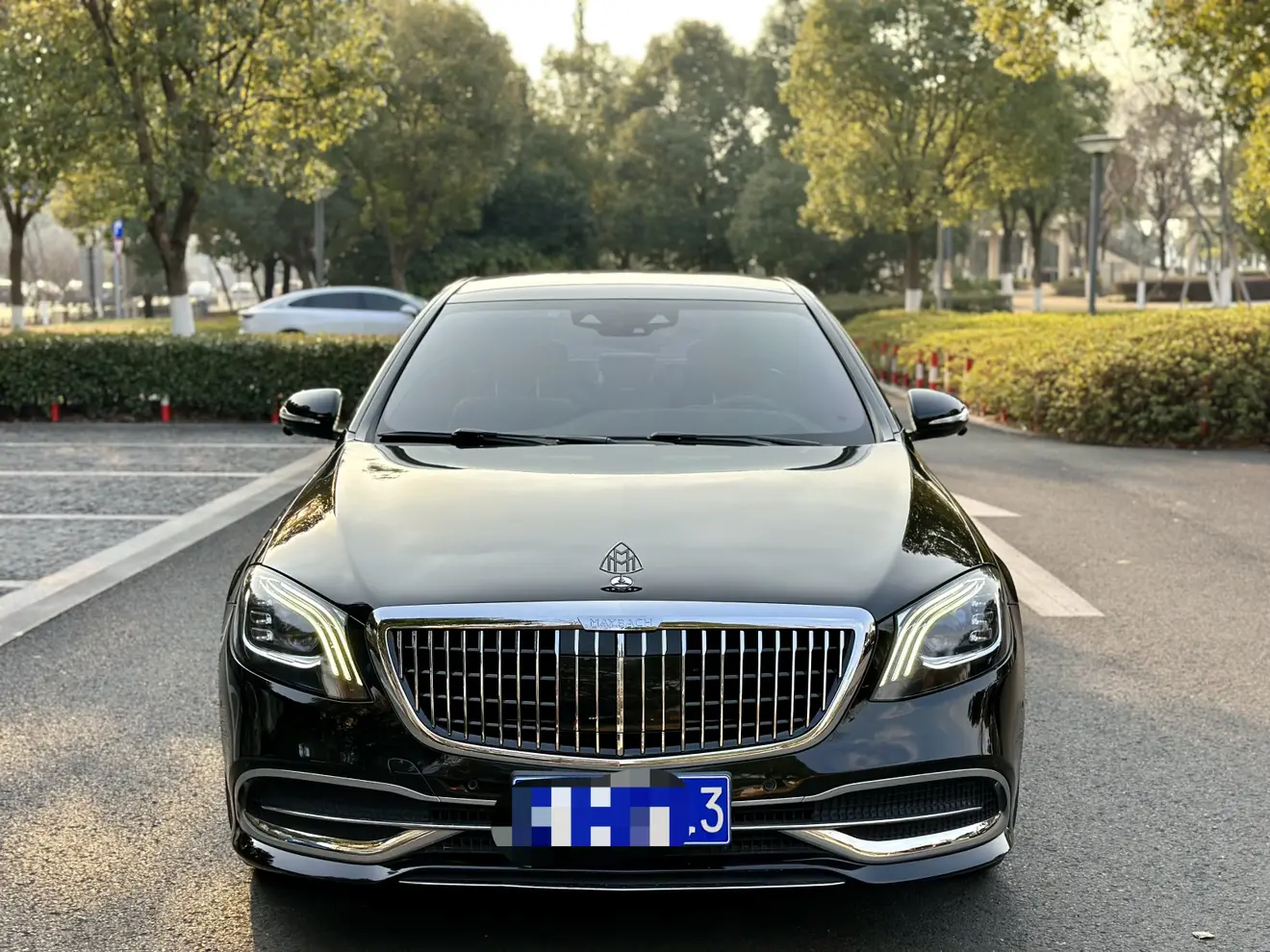 Mercedes-Benz Mercedes Benz S Class  из Китая