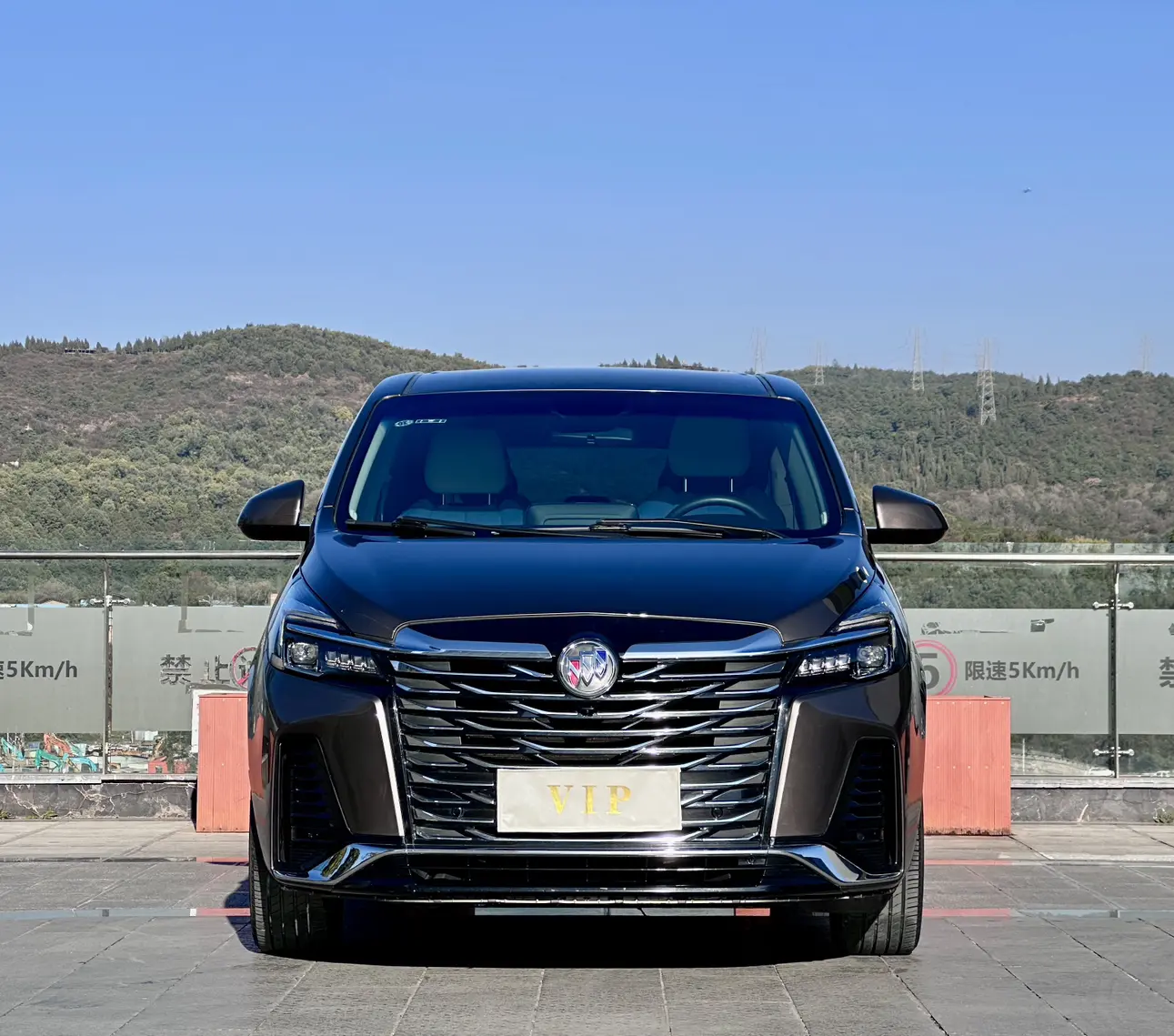 Buick GL8  из Китая