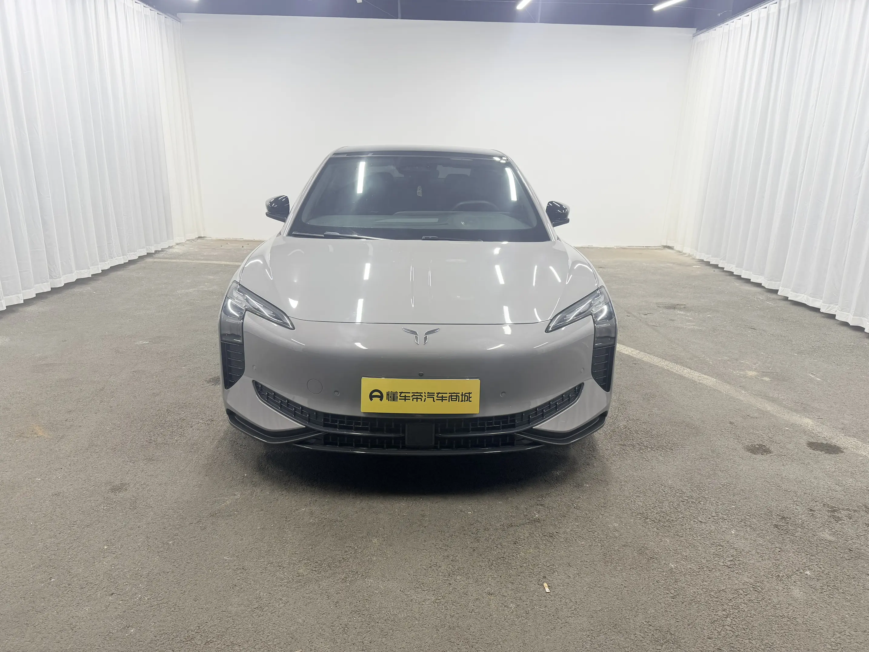 Hongqi EH7  из Китая