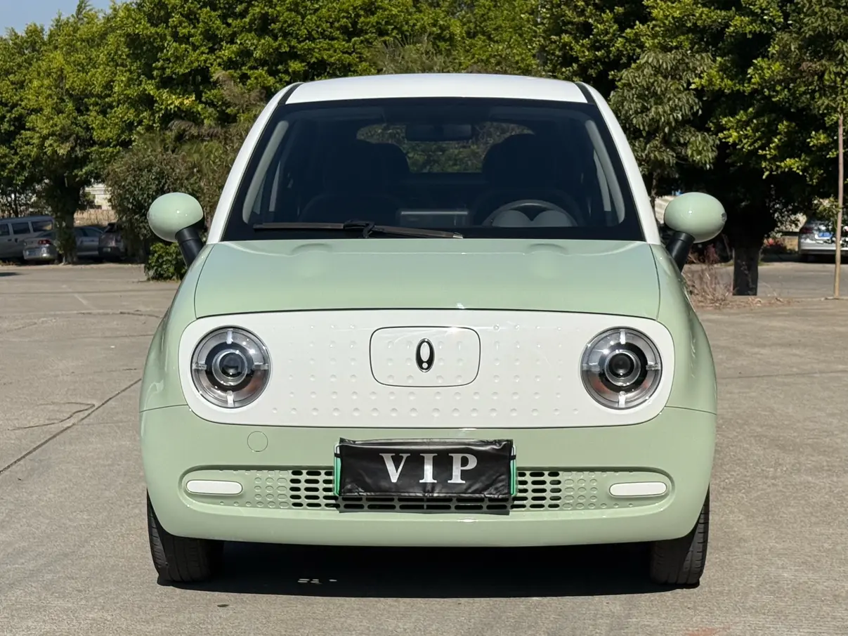 ORA Euler black cat  из Китая