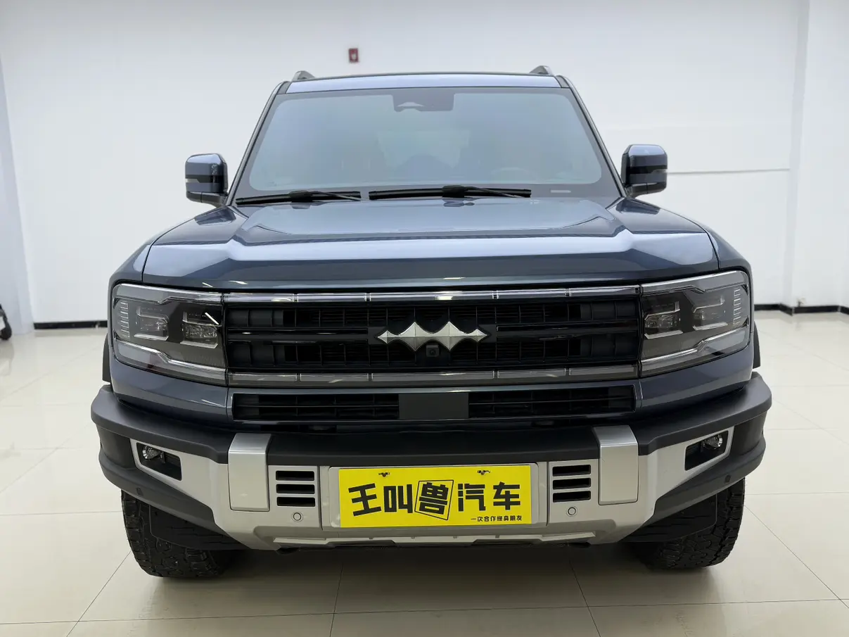 BYD Leopard Leopard 5  из Китая