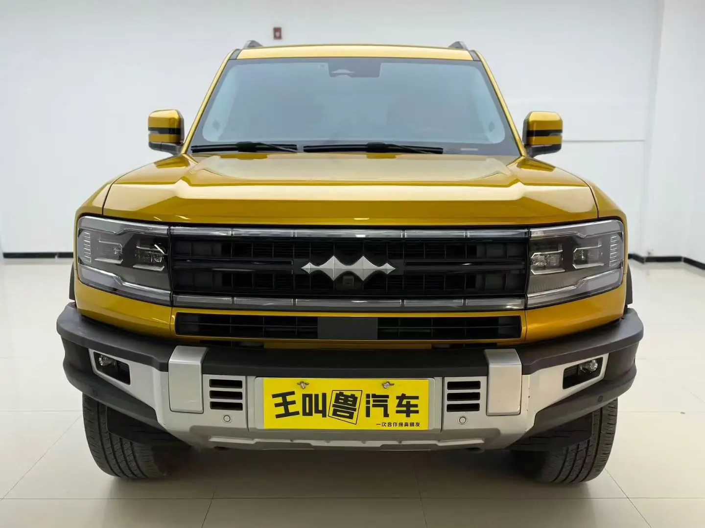 BYD Leopard Leopard 5  из Китая