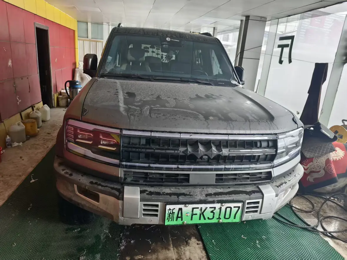 BYD Leopard Leopard 5  из Китая