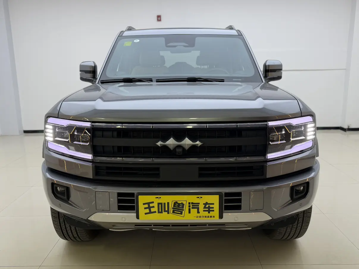 BYD Leopard Leopard 5  из Китая