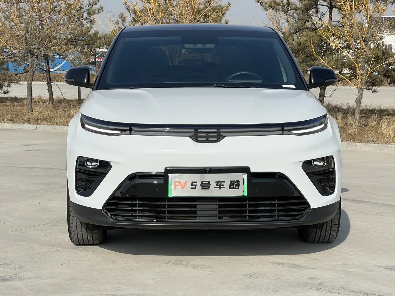 Skyrim ME5  из Китая