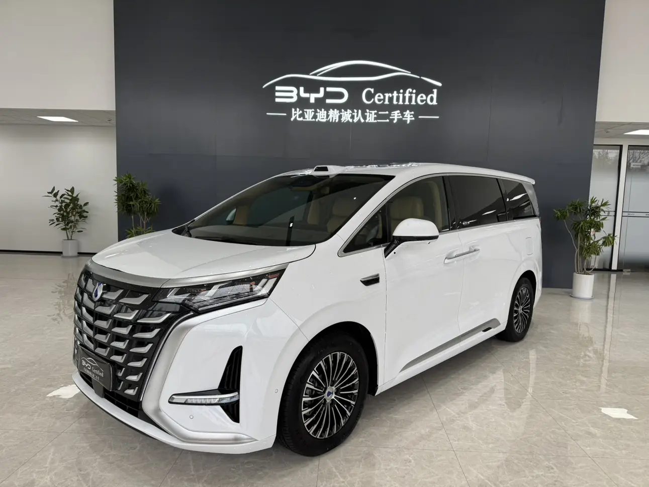 Denza D9 DM  из Китая