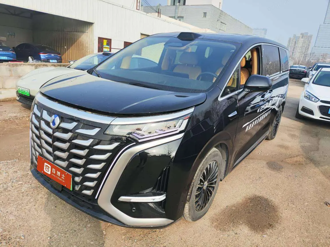 Denza D9 DM  из Китая