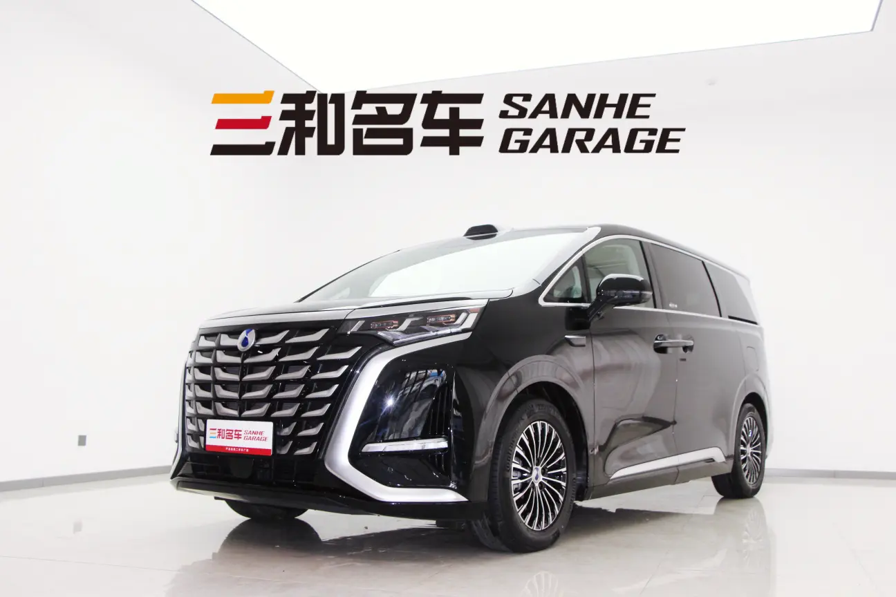 Denza D9 DM  из Китая