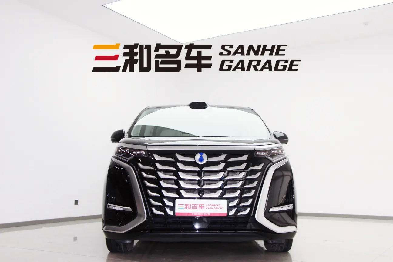 Denza D9 DM  из Китая