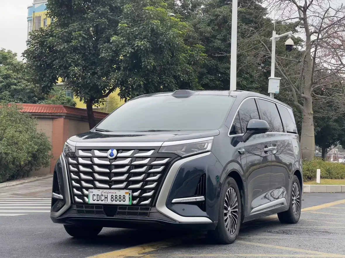 Denza D9 DM  из Китая