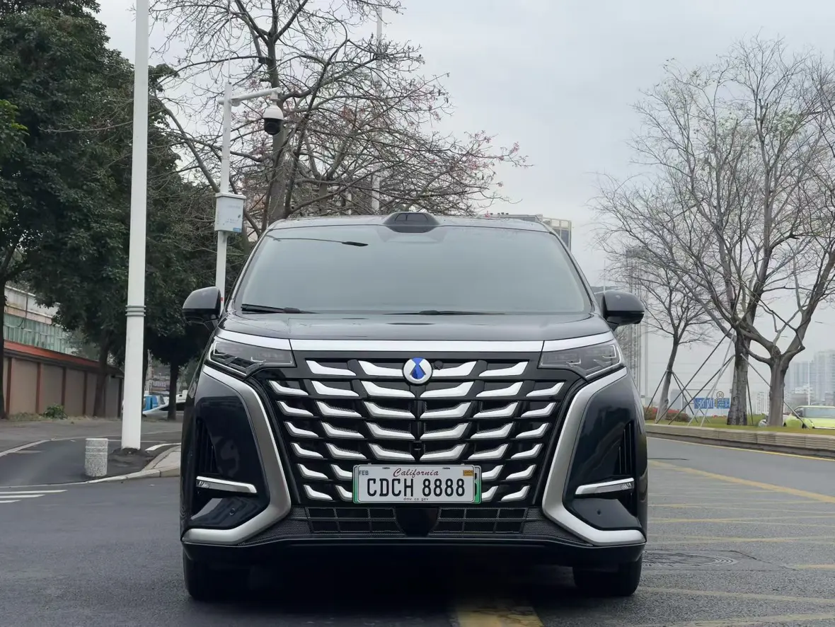 Denza D9 DM  из Китая