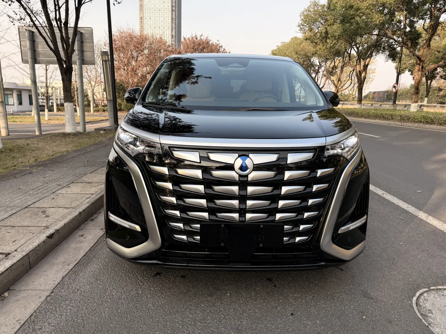 Denza D9 DM  из Китая