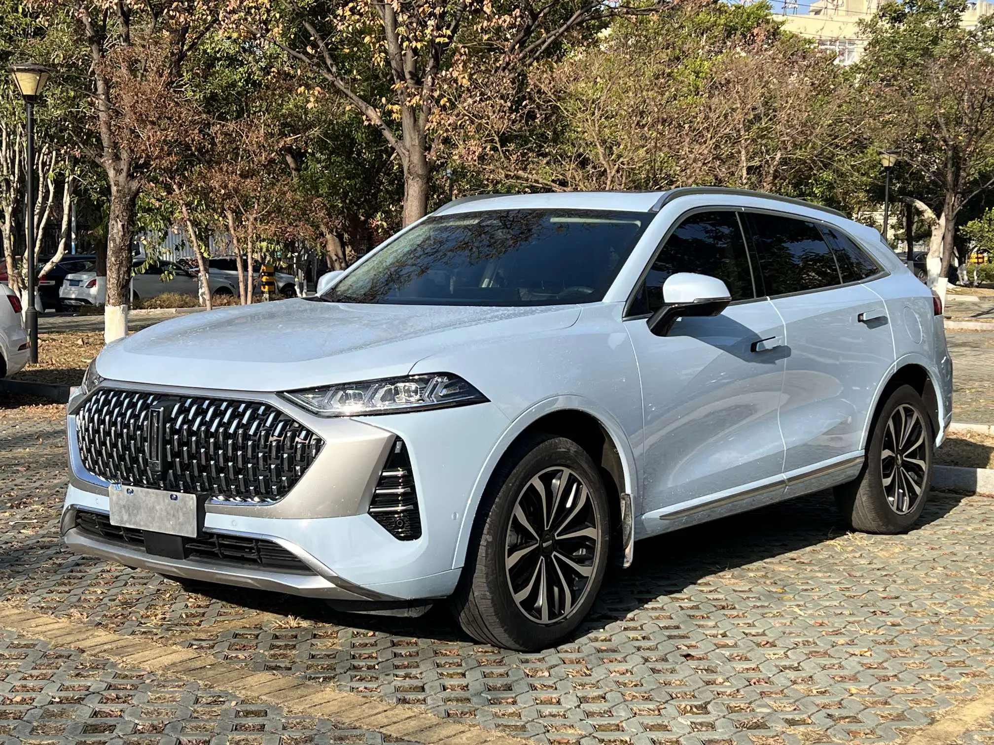 Wey Mocha  из Китая