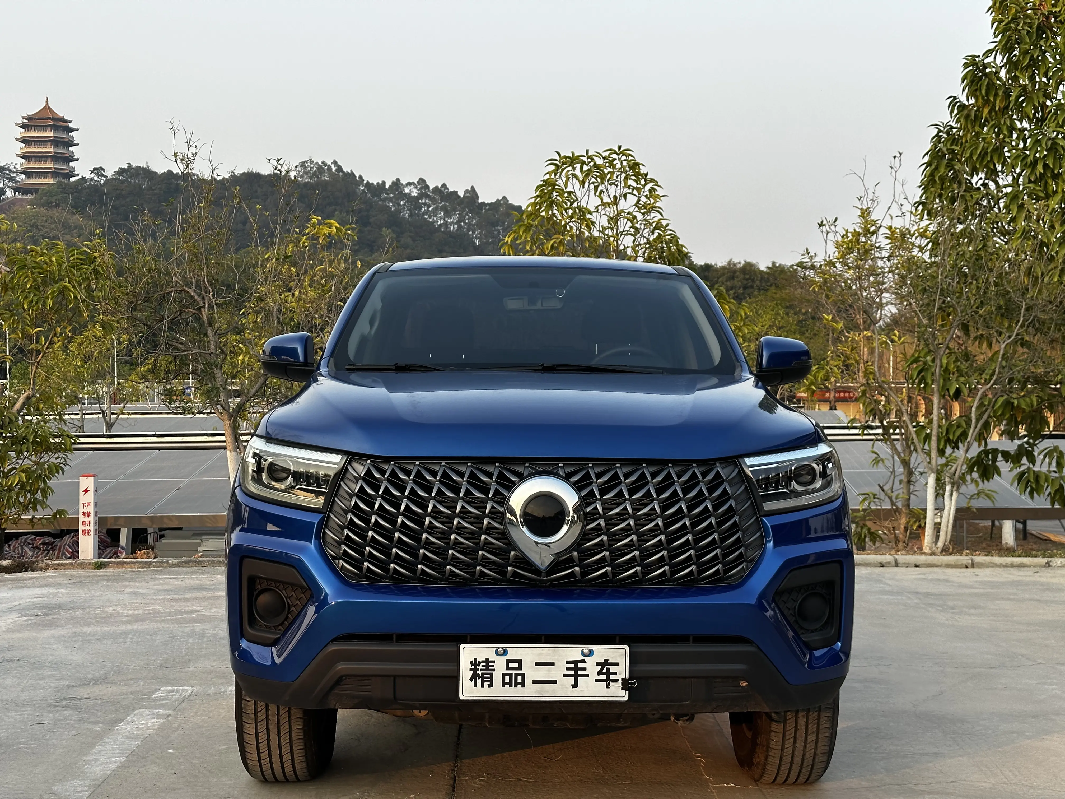 Great Wall Gun  из Китая