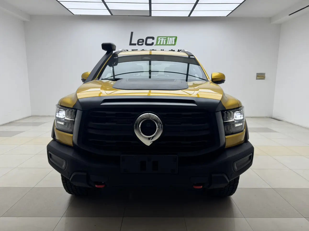 Great Wall Shanhaipao Hi4-T  из Китая