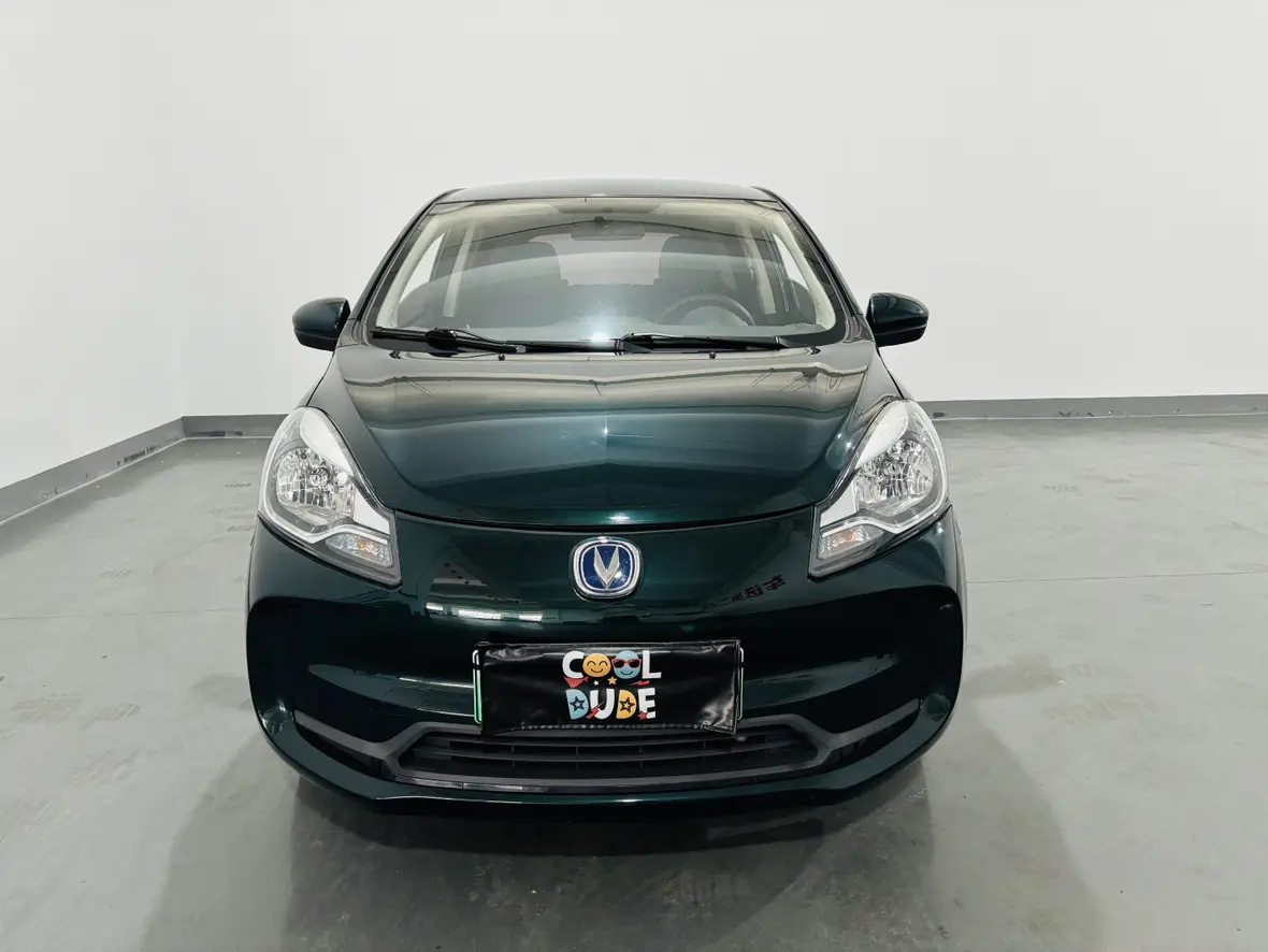 Oshan Benben E-Star  из Китая