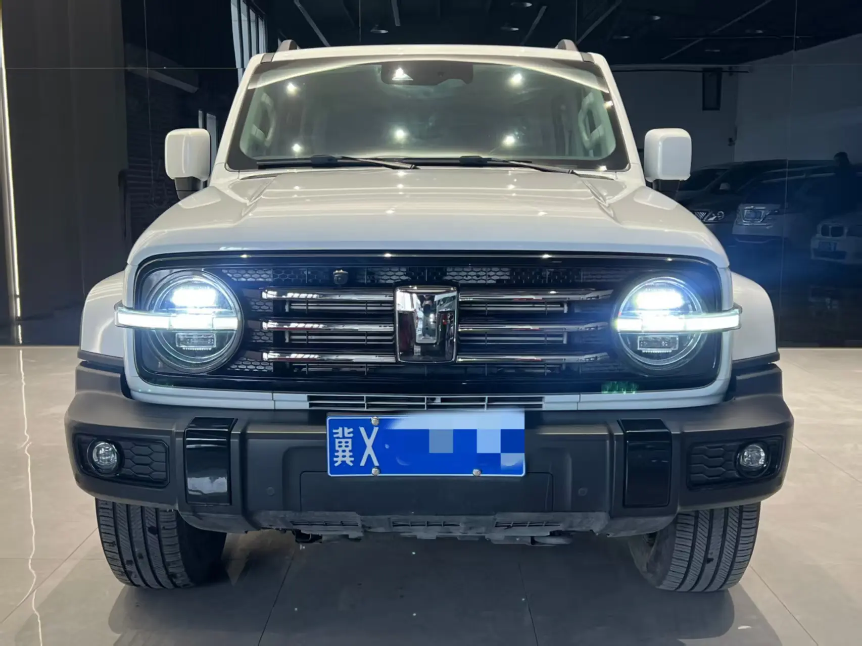 Tank 300  из Китая