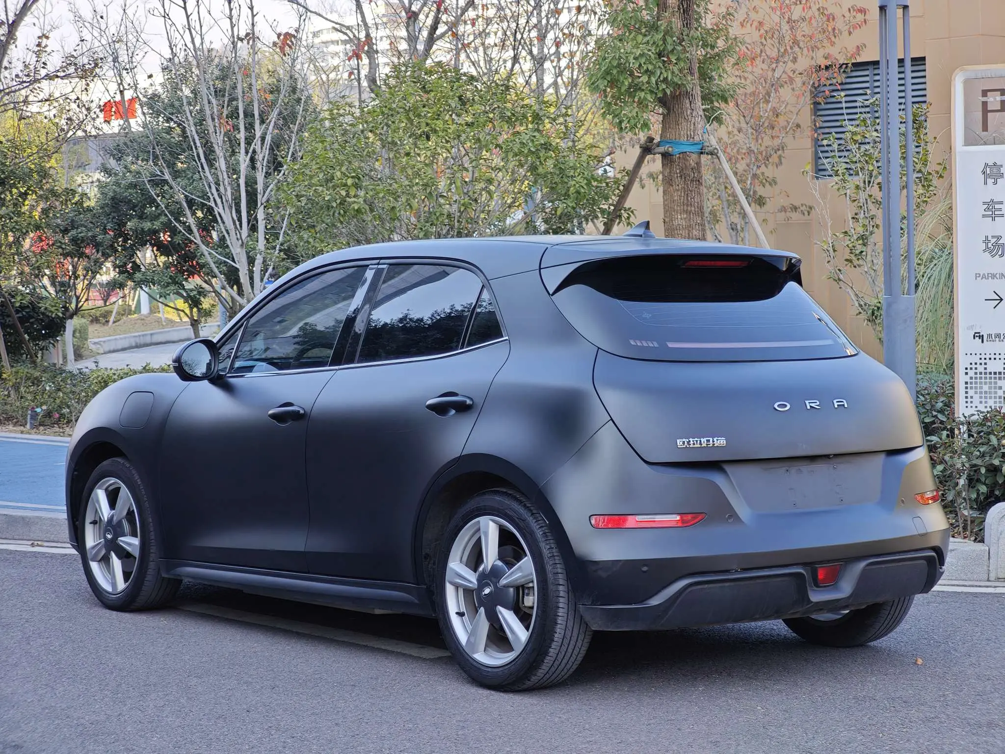 ORA Euler good cat  из Китая