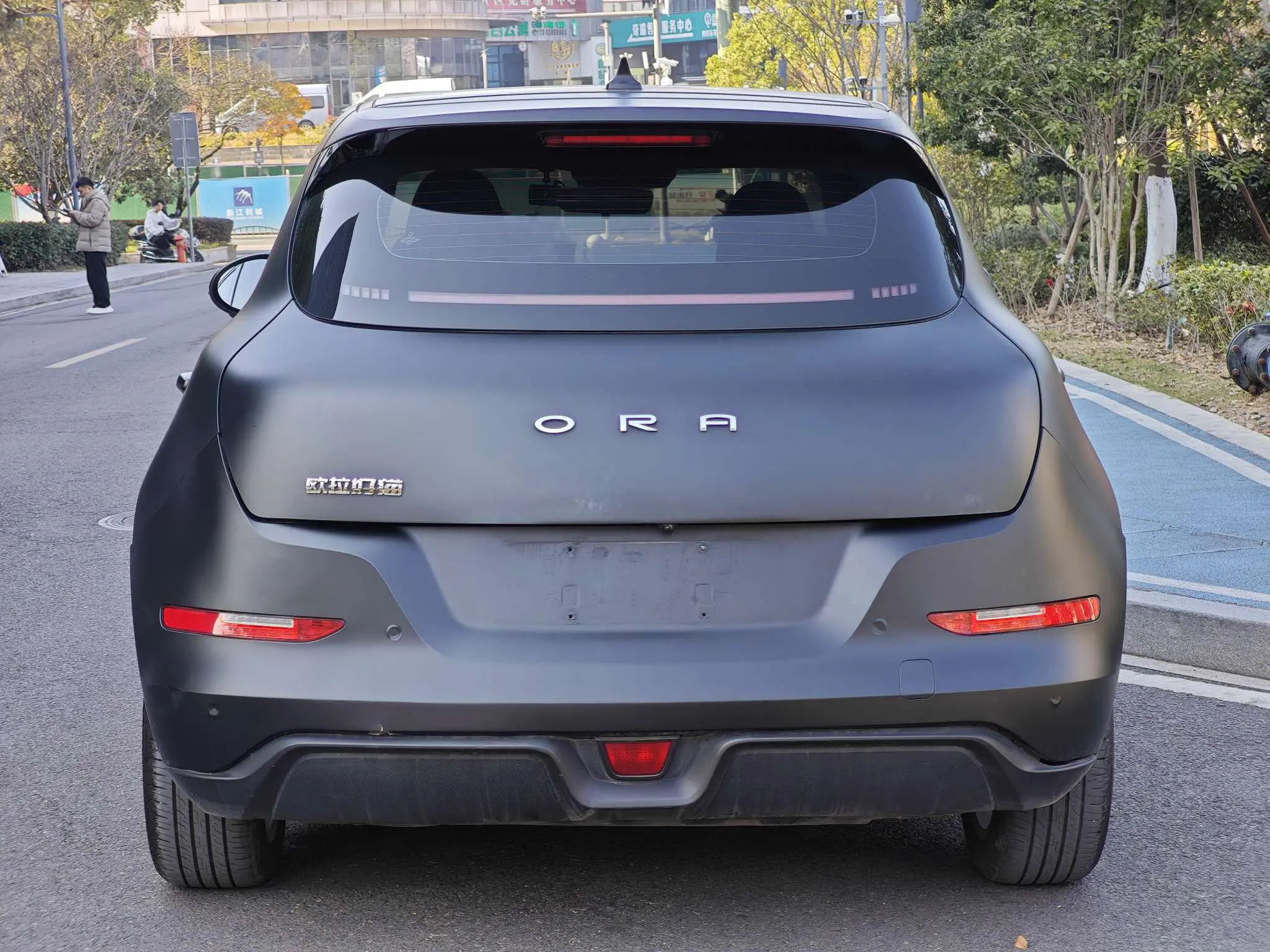 ORA Euler good cat  из Китая