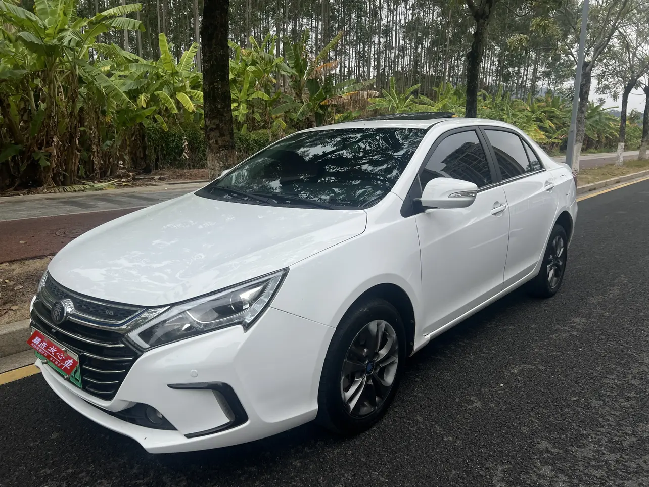 BYD Qin DM  из Китая