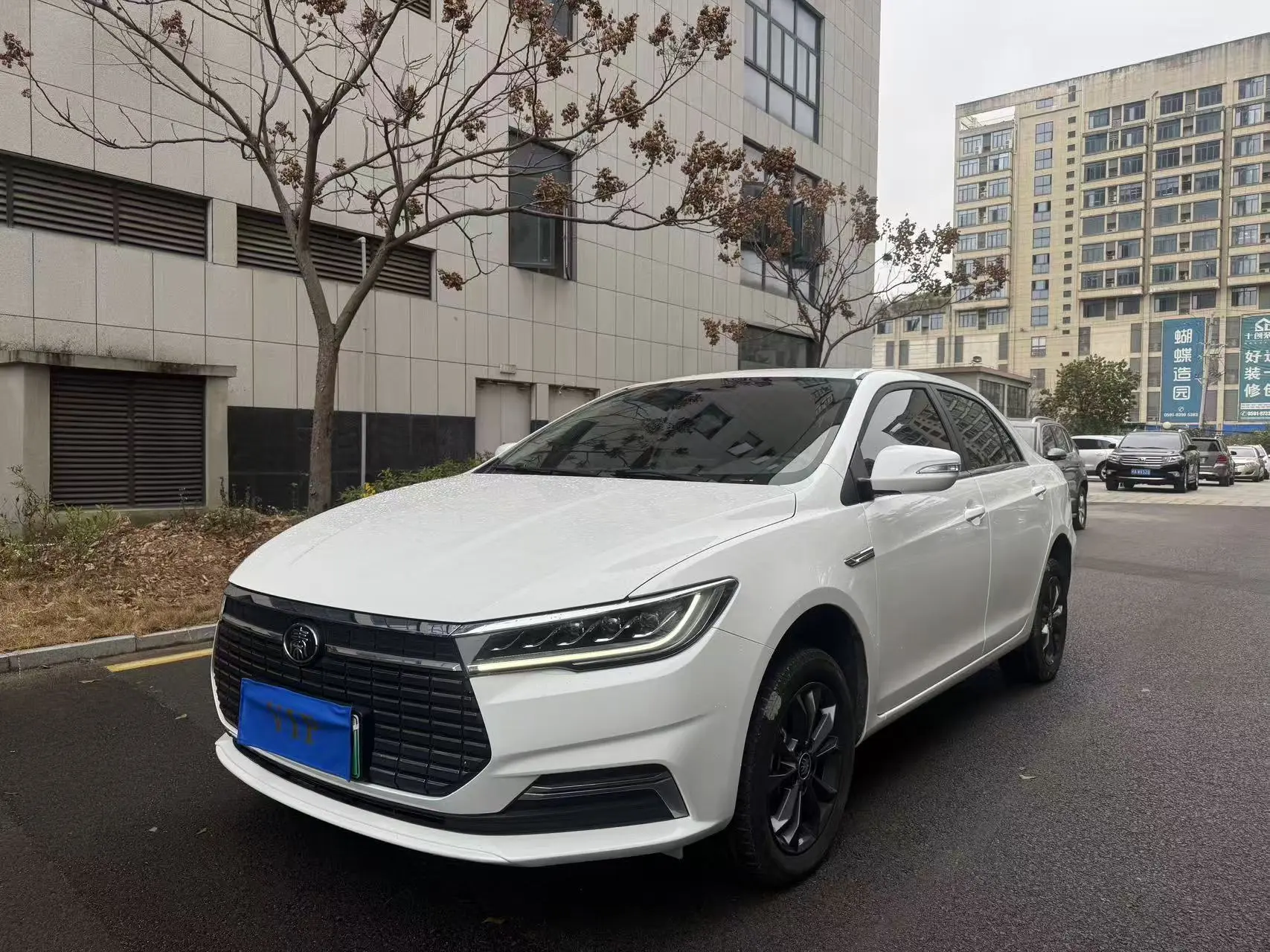 BYD QinEV  из Китая