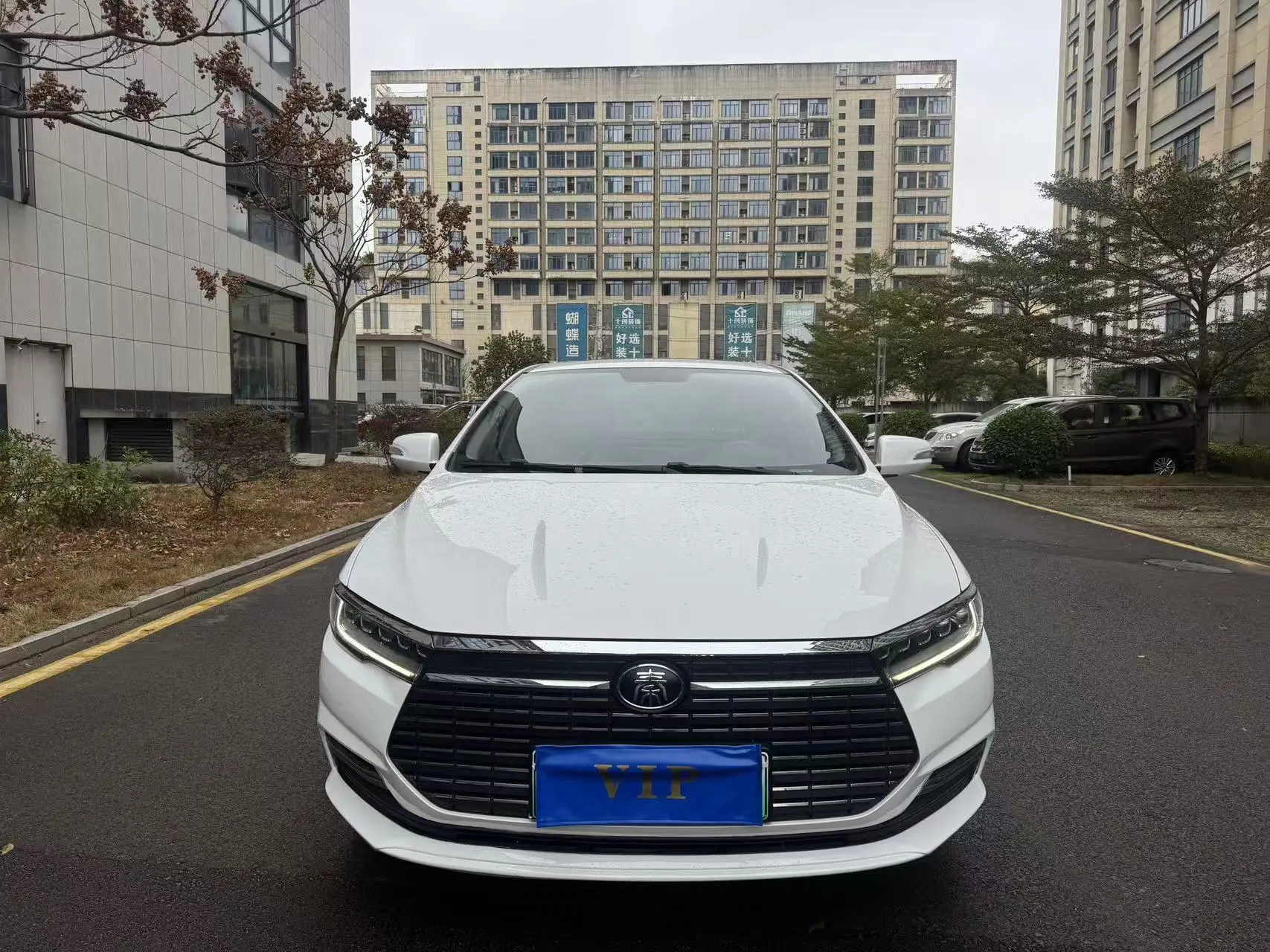 BYD QinEV  из Китая
