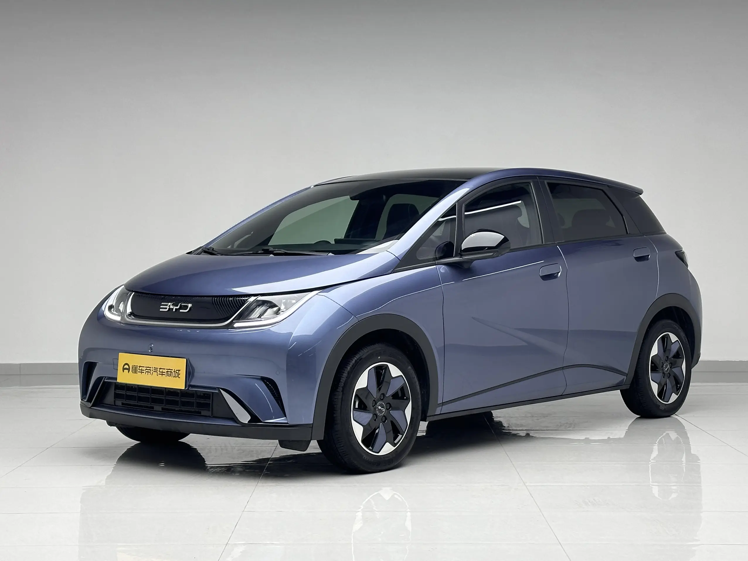 BYD Dolphin  из Китая