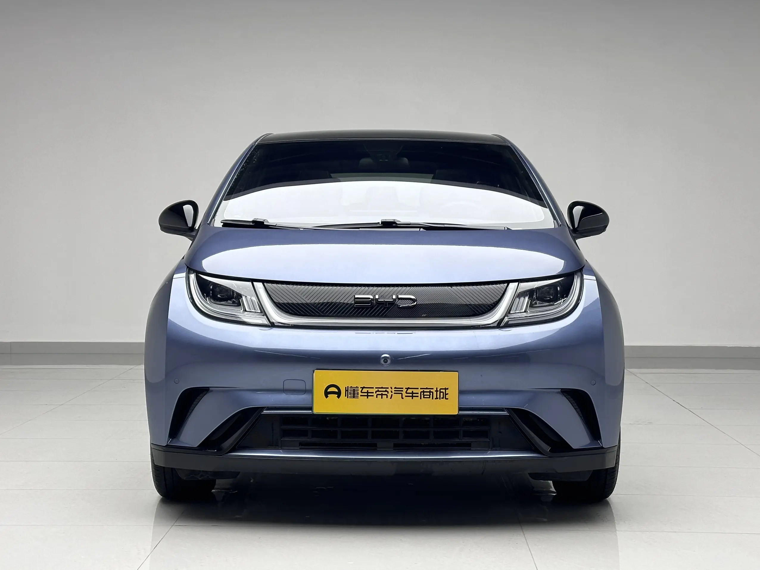 BYD Dolphin  из Китая