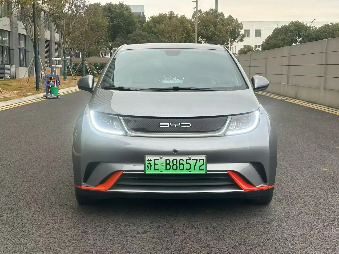 BYD Dolphin  из Китая