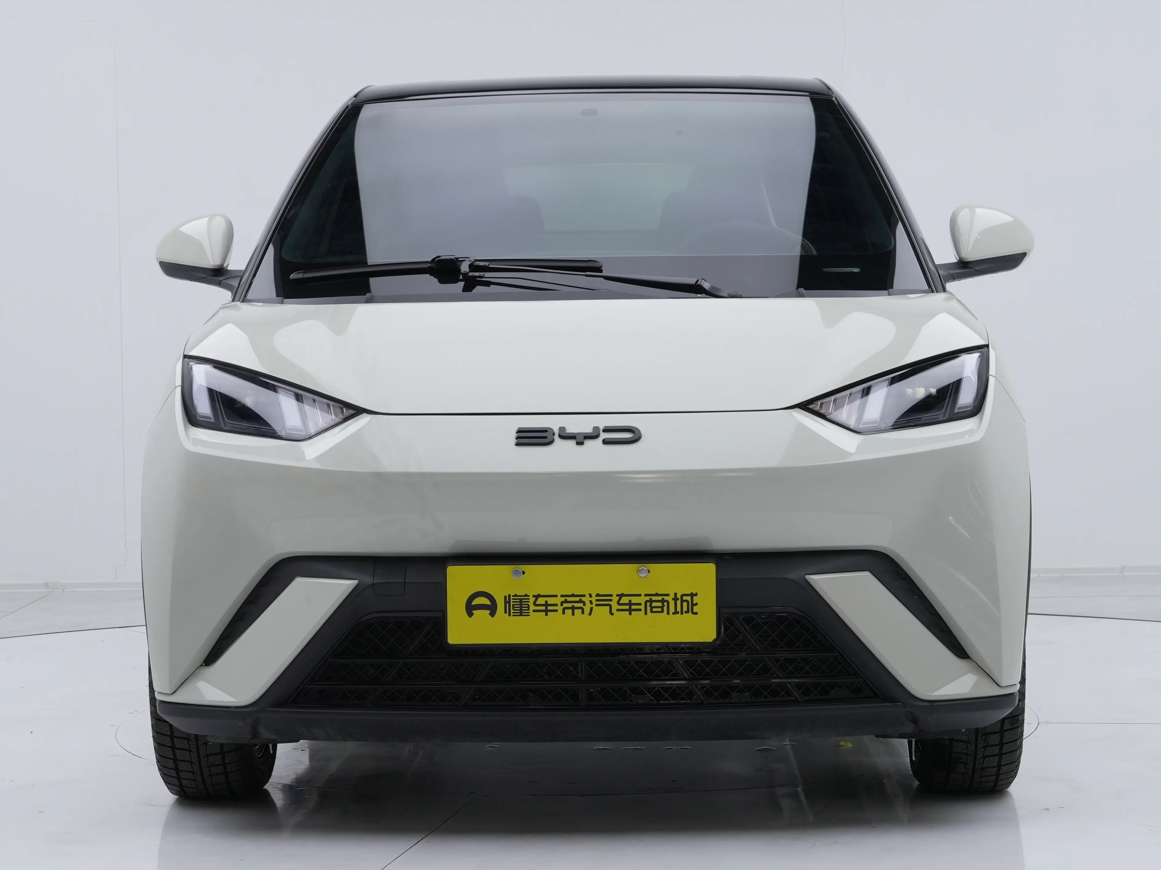 BYD Seagull  из Китая