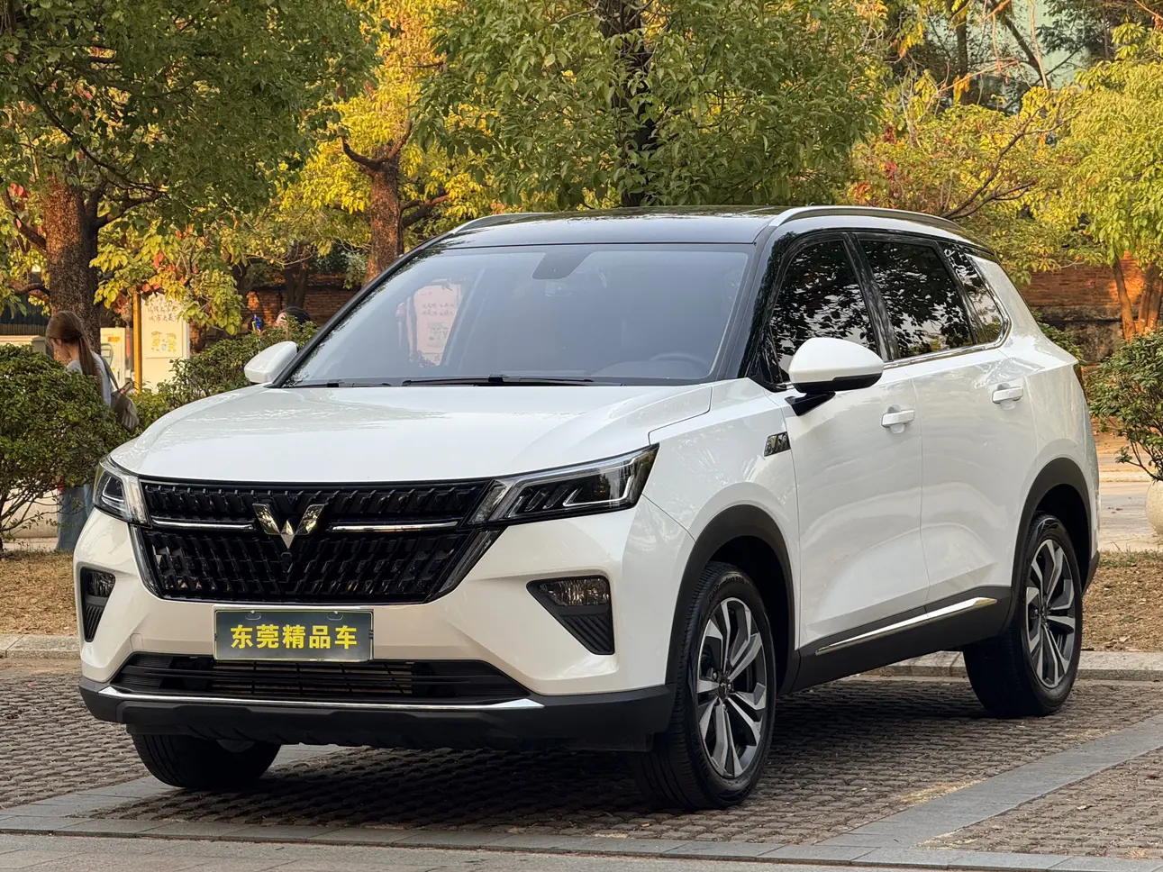 Wuling Star  из Китая