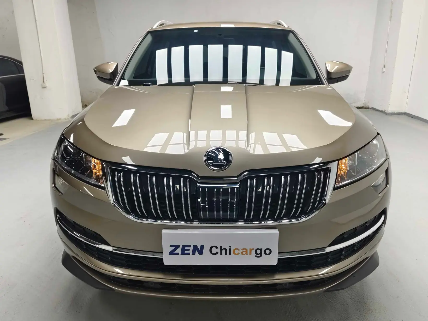 Skoda Karoq  из Китая