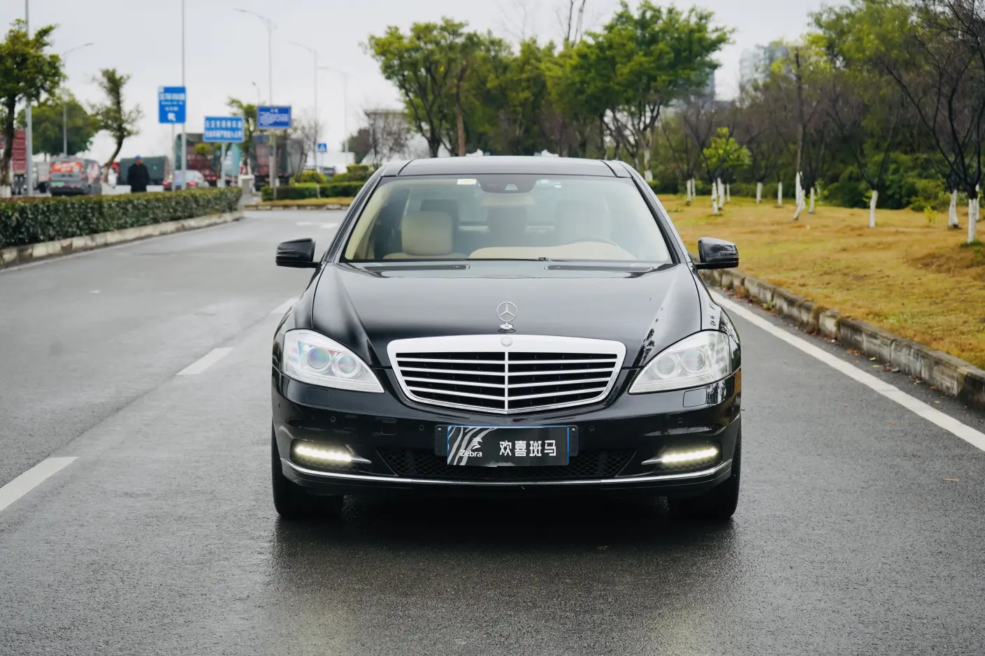 Mercedes-Benz Mercedes Benz S Class  из Китая