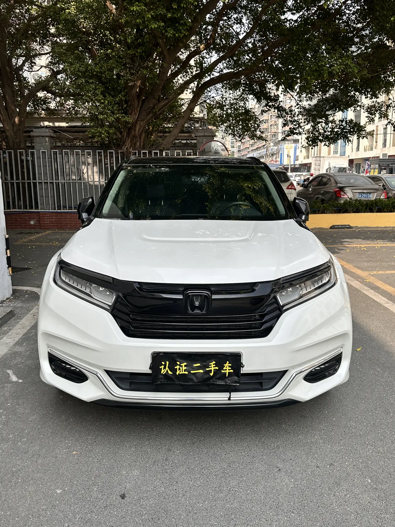 Honda Avancier (Crown Road)  из Китая