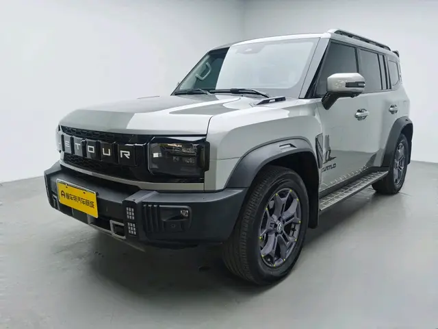 Jietu Shanhai Jetour Traveler C-DM  из Китая