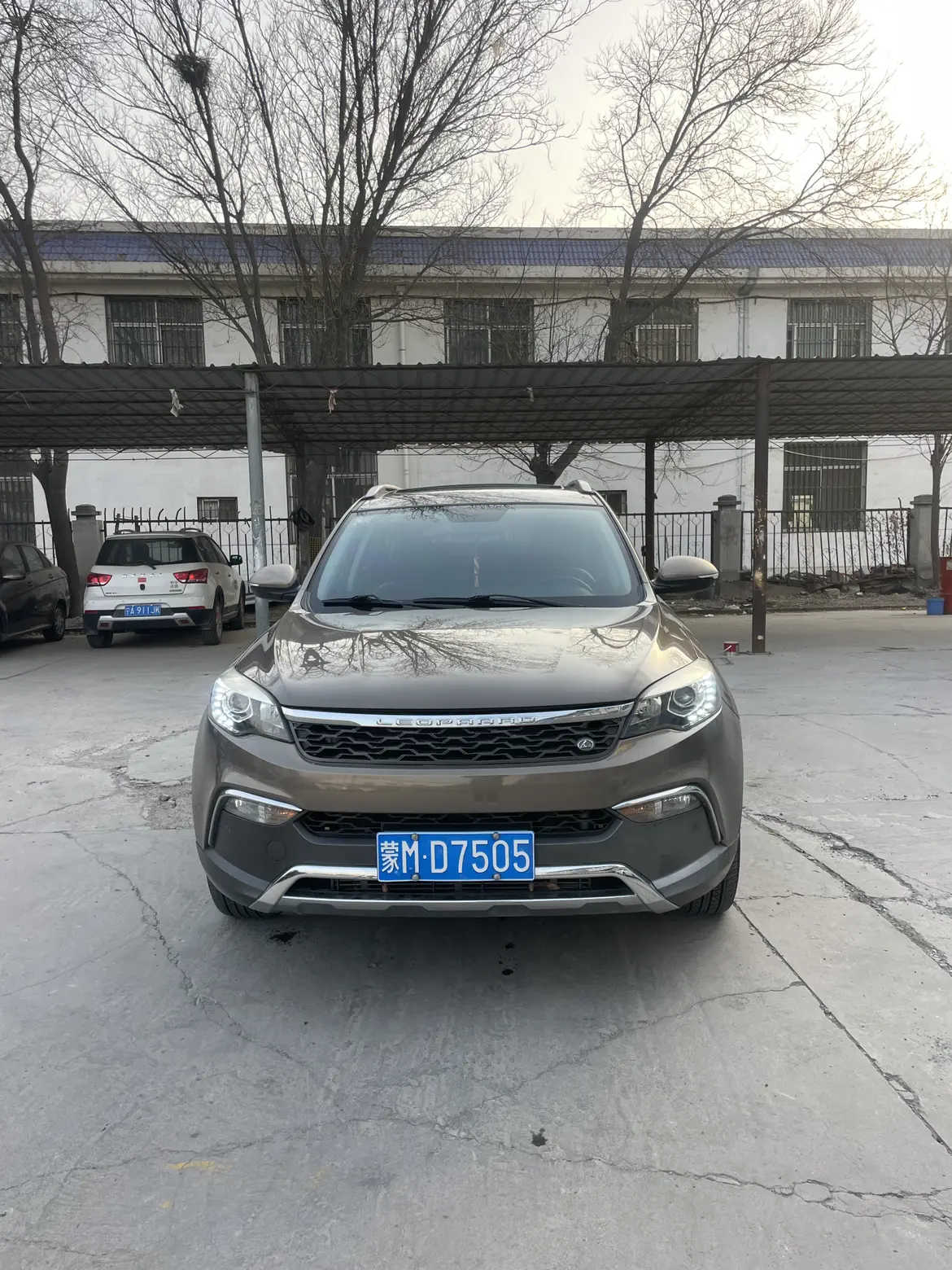 Cheetah cars Cheetah CS10  из Китая