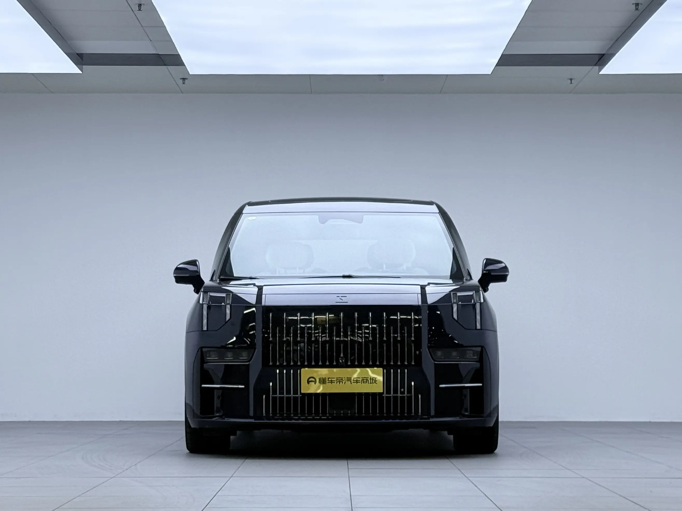 ZEEKR 009  из Китая