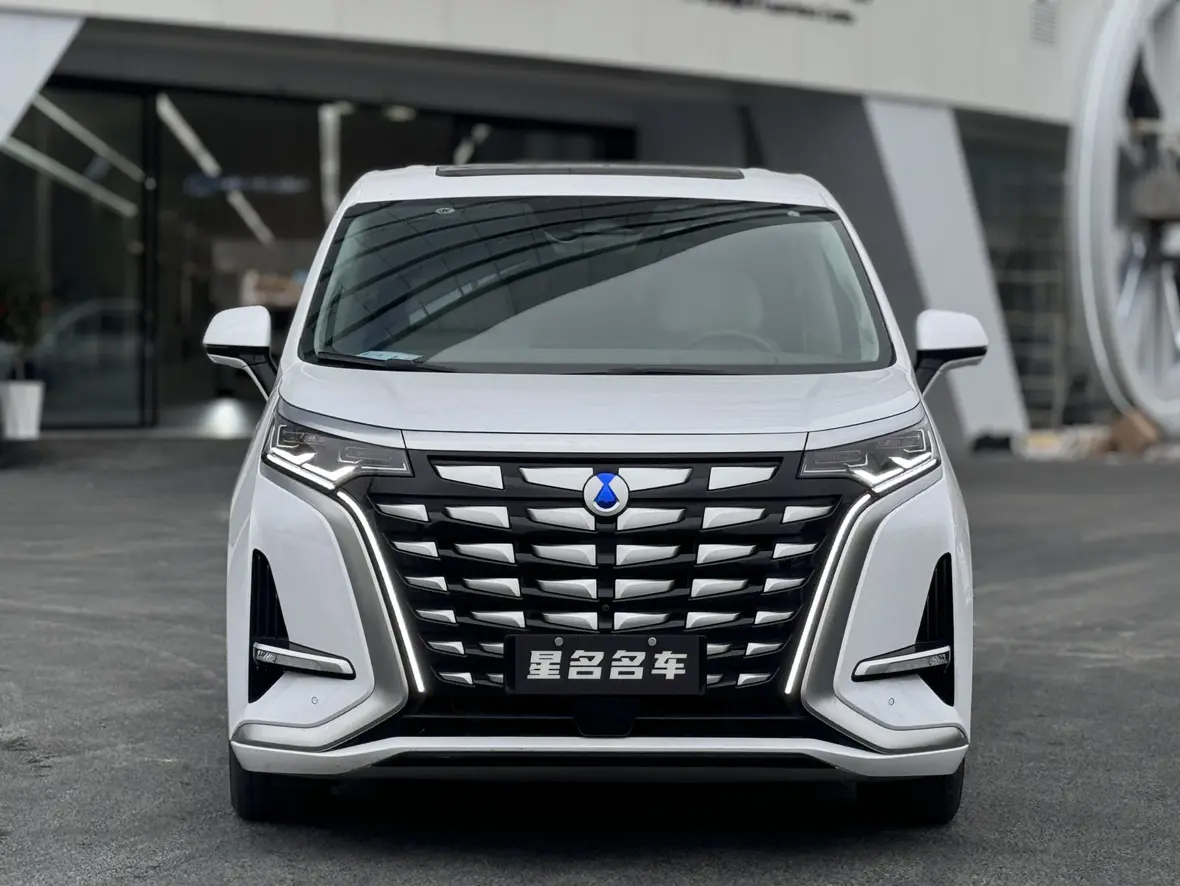 Denza D9 DM  из Китая