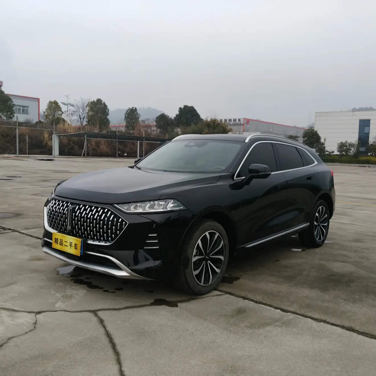 Wey Mocha  из Китая