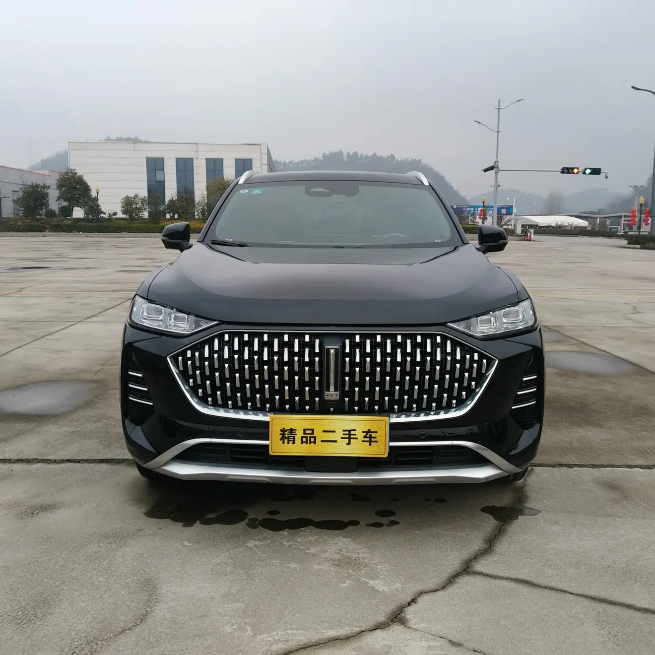 Wey Mocha  из Китая