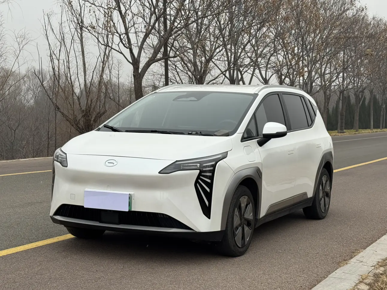 AION Y  из Китая