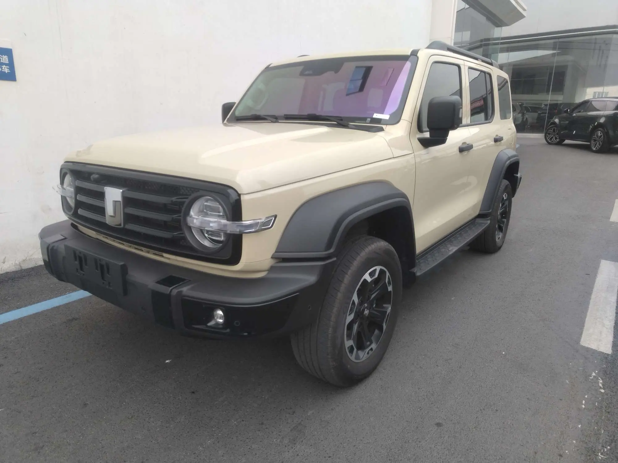 Tank 300 Hi4-T  из Китая