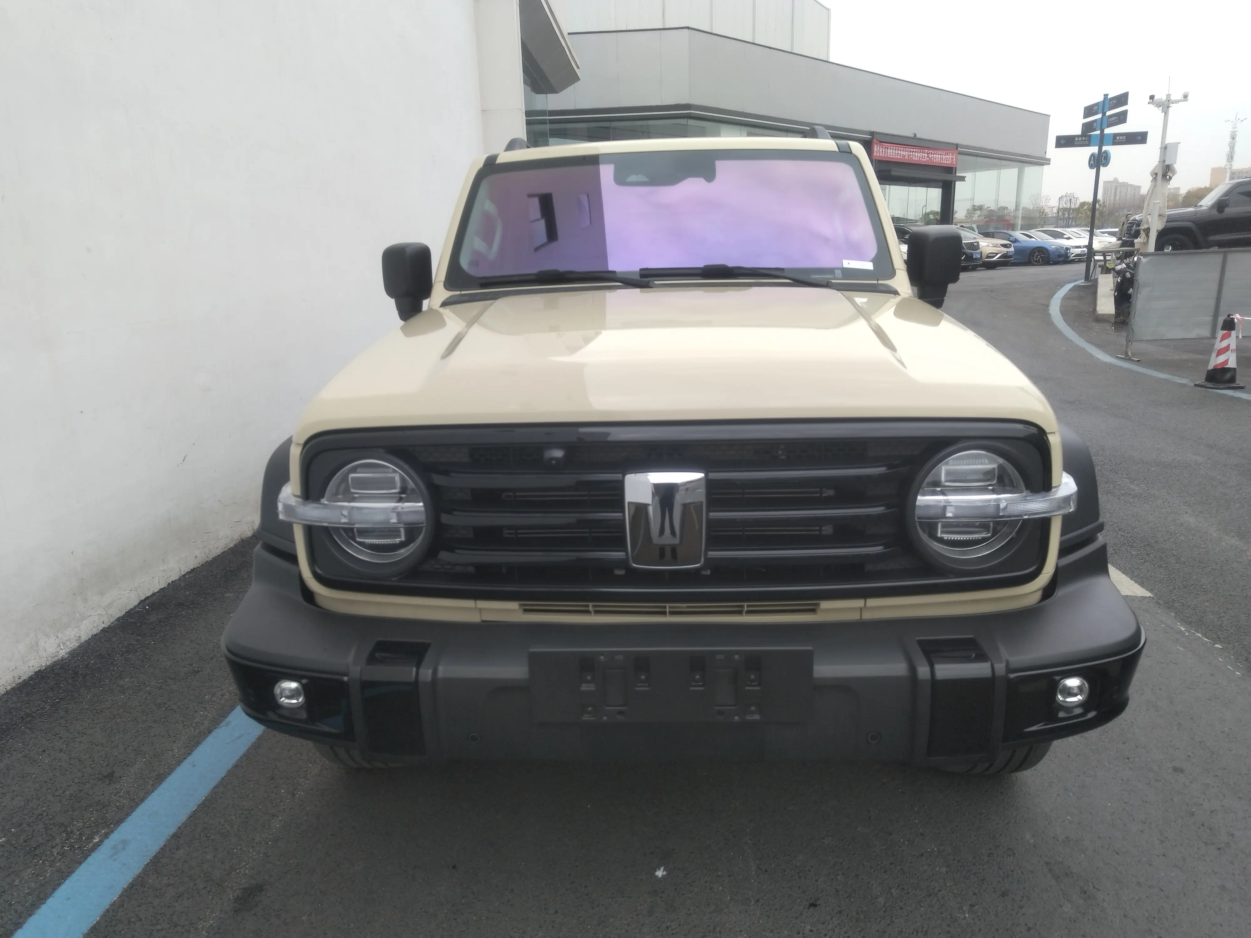 Tank 300 Hi4-T  из Китая