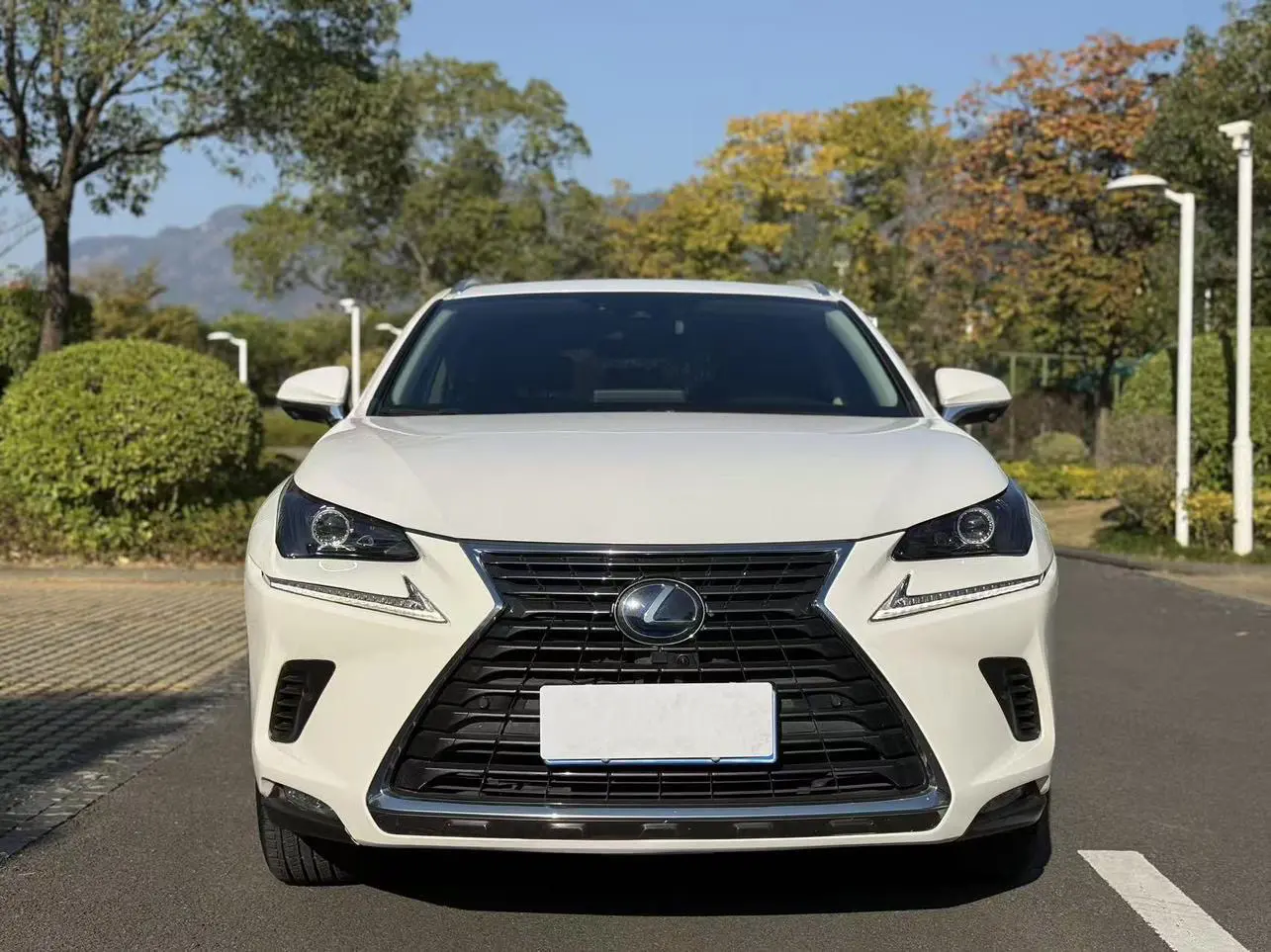 Lexus NX  из Китая