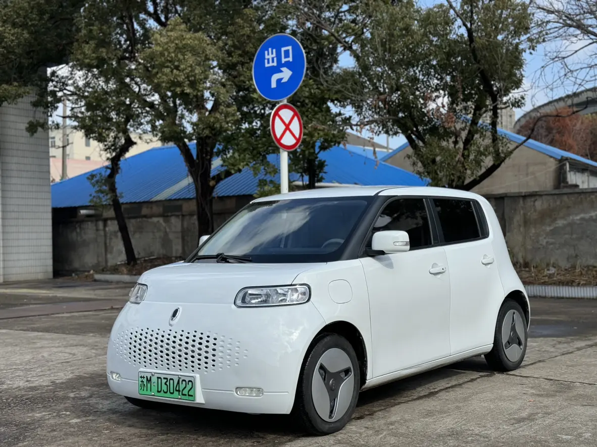 ORA Euler white cat  из Китая