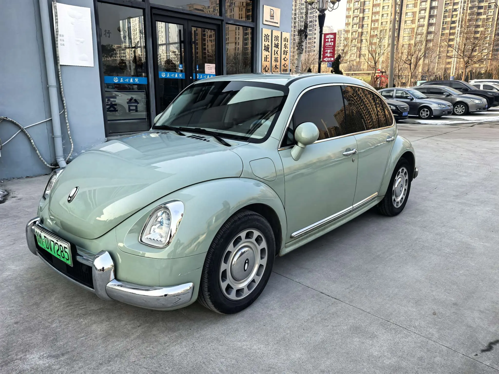 ORA Euler ballet cat  из Китая